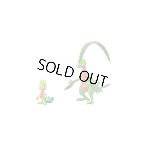 Photo2: BANDAI POKEMON SCALE WORLD Hoenn edition "Treecko & Grovyle" 1/20 Figure (2)