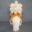 Photo3: Pokemon 2021 ALL STAR COLLECTION Arcanine Plush Toy SAN-EI (3)