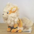 Photo4: Pokemon 2021 ALL STAR COLLECTION Arcanine Plush Toy SAN-EI (4)