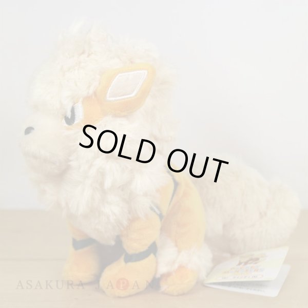 Photo4: Pokemon 2021 ALL STAR COLLECTION Arcanine Plush Toy SAN-EI (4)