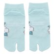 Photo2: Pokemon Center 2021 "Haru Natsu Aki Fuyu" Tabi Socks for Women 23 - 25 cm 1 Pair Alola Vulpix (2)