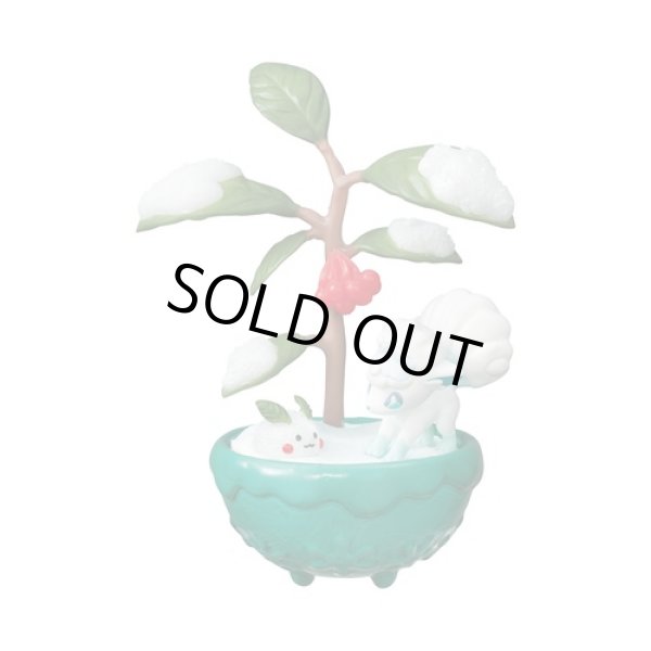 Photo4: Pokemon 2021 Pocket BONSAI Complete set of 6 Mini Figure (4)