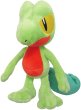 Photo1: Pokemon 2017 ALL STAR COLLECTION Treecko Plush Toy SAN-EI (1)