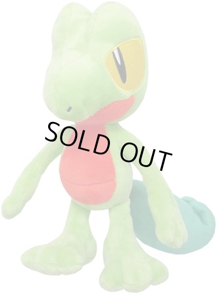 Photo1: Pokemon 2017 ALL STAR COLLECTION Treecko Plush Toy SAN-EI (1)