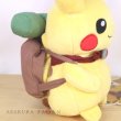Photo4: Pokemon Center 2020 ADVENTURE Pikachu Plush doll (4)