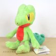 Photo2: Pokemon 2017 ALL STAR COLLECTION Treecko Plush Toy SAN-EI (2)