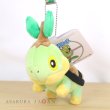 Photo3: Pokemon Center 2021 Plush Mascot Key Chain Turtwig (3)