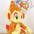 Photo4: Pokemon Center 2021 Plush Mascot Key Chain Chimchar (4)
