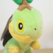 Photo4: Pokemon Center 2021 Plush Mascot Key Chain Turtwig (4)