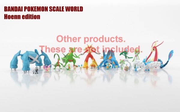 Photo3: BANDAI POKEMON SCALE WORLD Hoenn edition vol.2 "Brendan RS ver." 1/20 Figure (3)