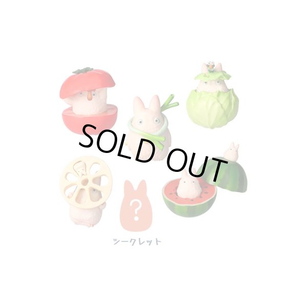 Photo4: Studio Ghibli Vegetable Collection Figure My Neighbor Totoro 6 pcs Complete set (4)
