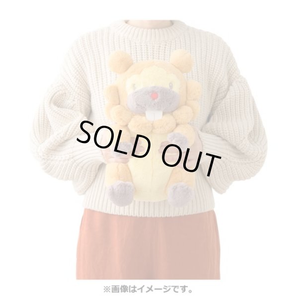 Photo5: Pokemon Center 2021 FUWA-FUWA Fluffy Plush doll Bidoof (5)