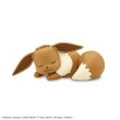 Photo2: Pokemon 2021 PLAMO Collection Quick!! 07 Eevee Sleeping Plastic Model Kit (2)