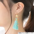 Photo3: Pokemon Center 2021 Pokemon accessory Series Clips Earrings E67 (3)