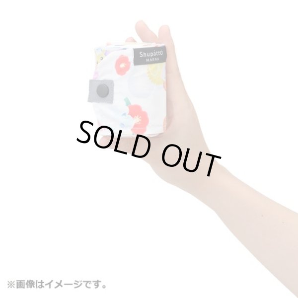 Photo3: Pokemon Center 2021 Shupatto Folding Compact bag M size Haru Natsu Aki Fuyu (3)