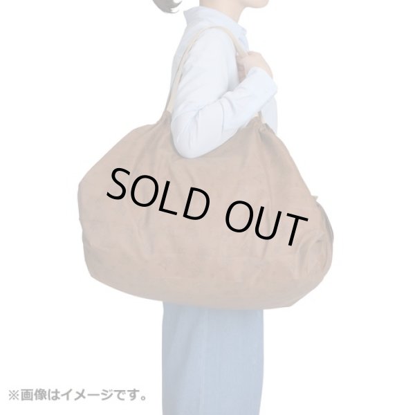 Photo4: Pokemon Center 2021 Shupatto Folding Compact bag L size Eievui Collection (4)