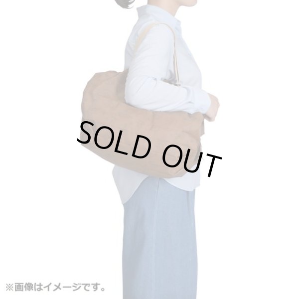 Photo4: Pokemon Center 2021 Shupatto Folding Compact bag M size Eievui Collection (4)