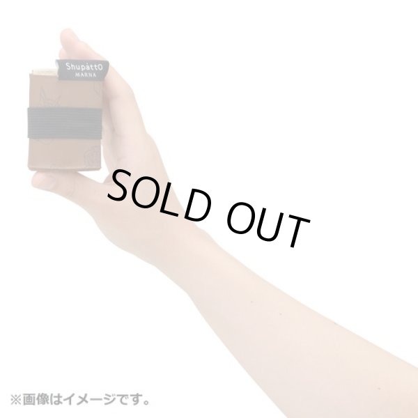 Photo3: Pokemon Center 2021 Shupatto Folding Compact bag S size Eievui Collection (3)