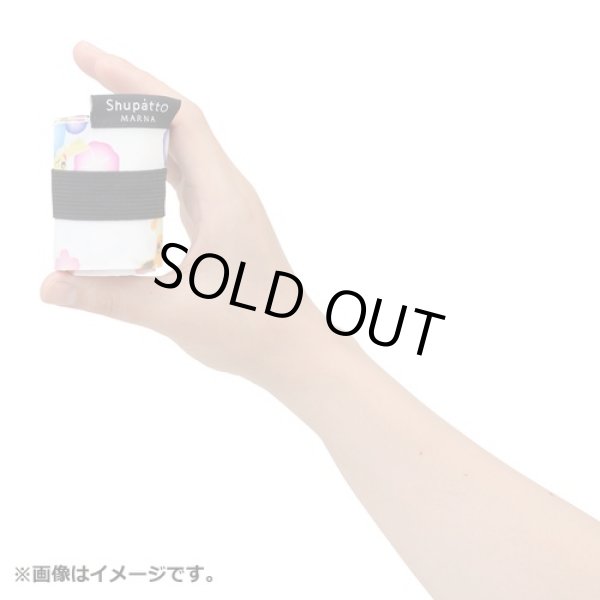 Photo3: Pokemon Center 2021 Shupatto Folding Compact bag S size Haru Natsu Aki Fuyu (3)