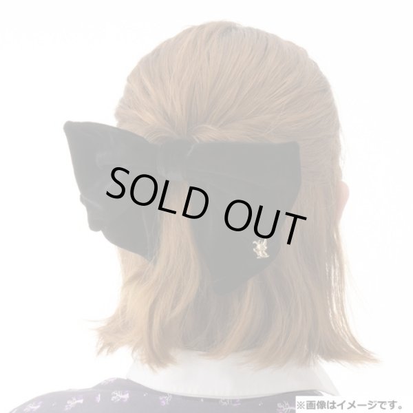 Photo3: Pokemon Center 2021 Pokemon accessory Series Hair bands H58 (3)