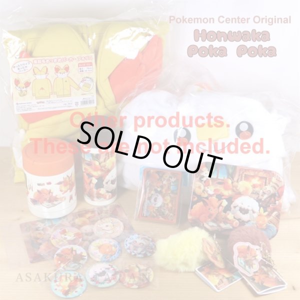 Photo4: Pokemon Center 2021 Honwaka Poka Poka A4 Size Clear File Folder (4)