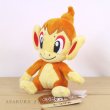 Photo4: Pokemon Center 2021 Pokemon fit Mini Plush #390 Chimchar doll Toy (4)