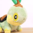 Photo5: Pokemon Center 2021 Pokemon fit Mini Plush #387 Turtwig doll Toy (5)