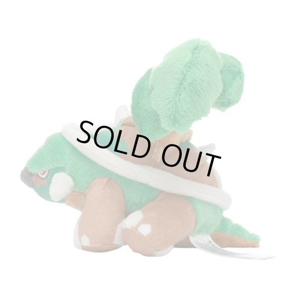 Photo2: Pokemon Center 2021 Pokemon fit Mini Plush #389 Torterra doll Toy (2)