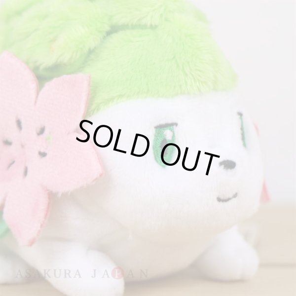 Photo5: Pokemon Center 2021 Pokemon fit Mini Plush #492 Shaymin - Land Forme doll Toy (5)
