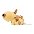 Photo2: Pokemon Center 2021 Pokemon fit Mini Plush #449 Hippopotas doll Toy (2)