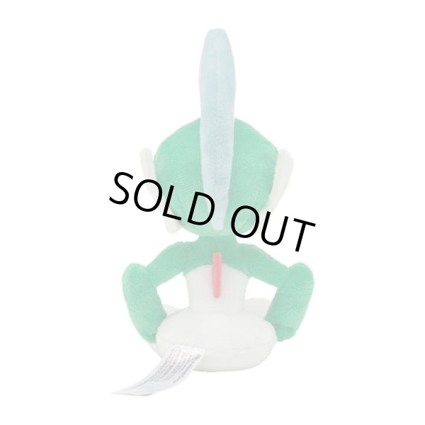 Photo3: Pokemon Center 2021 Pokemon fit Mini Plush #475 Gallade doll Toy (3)