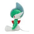 Photo2: Pokemon Center 2021 Pokemon fit Mini Plush #475 Gallade doll Toy (2)