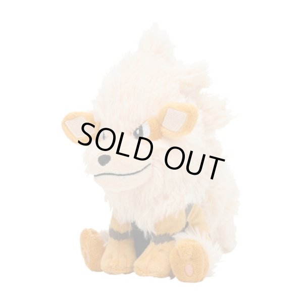 Photo2: Pokemon Center 2018 Pokemon fit Mini Plush #59 Arcanine doll Toy (2)