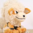 Photo5: Pokemon Center 2018 Pokemon fit Mini Plush #59 Arcanine doll Toy (5)