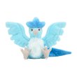 Photo1: Pokemon Center 2018 Pokemon fit Mini Plush #144 Articuno doll Toy (1)