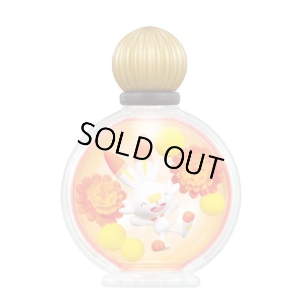 Photo8: Pokemon 2021 PETITE FLEUR EX Galar region edition Complete set of 6 Mini Figure (8)