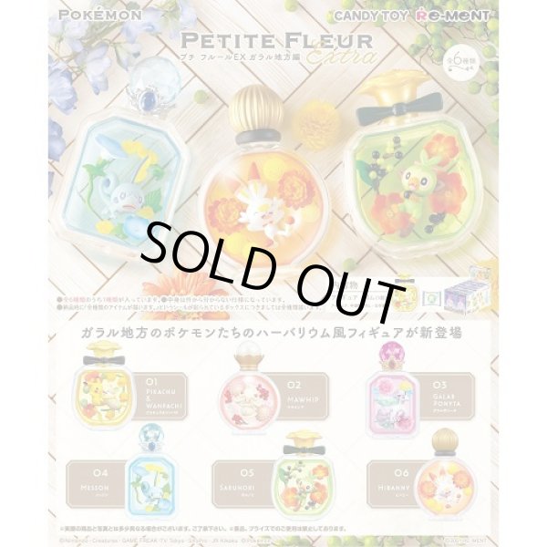 Photo2: Pokemon 2021 PETITE FLEUR EX Galar region edition Complete set of 6 Mini Figure (2)