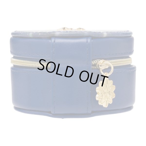 Photo3: Pokemon Center 2021 Speed Star Jewelry case Accessories Pouch (3)