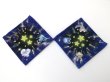 Photo2: Pokemon Center 2021 Speed Star Fabric Coaster 2 pc (2)