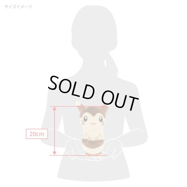 Photo3: Pokemon 2021 ALL STAR COLLECTION Furret Plush Toy SAN-EI (3)
