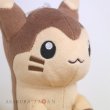 Photo5: Pokemon 2021 ALL STAR COLLECTION Furret Plush Toy SAN-EI (5)