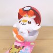 Photo1: Pokemon Center 2020 Petit Plush in Poke Ball Case vol.4 Scorbunny doll (1)