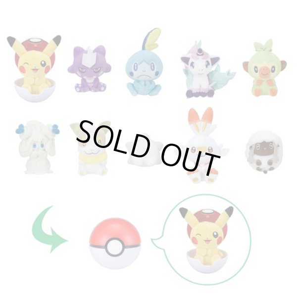 Photo4: Pokemon Center 2020 Petit Plush in Poke Ball Case vol.4 Scorbunny doll (4)