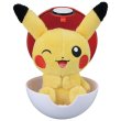 Photo1: Pokemon Center 2020 Petit Plush in Poke Ball Case vol.4 Wink Pikachu doll (1)