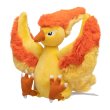 Photo1: Pokemon Center 2018 Pokemon fit Mini Plush #146 Moltres doll Toy (1)