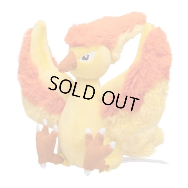 Photo1: Pokemon Center 2018 Pokemon fit Mini Plush #146 Moltres doll Toy (1)