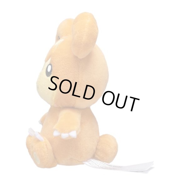 Photo2: Pokemon Center 2019 Pokemon fit Mini Plush #216 Teddiursa doll Toy (2)