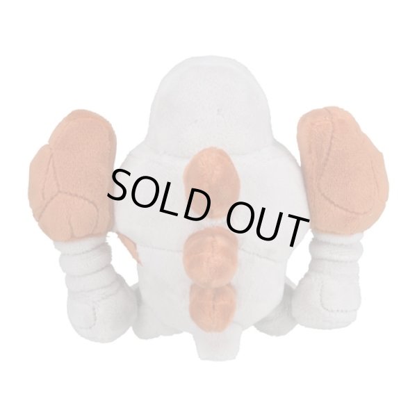 Photo2: Pokemon Center 2022 POKEMON DOLLS Plush doll Regirock (2)