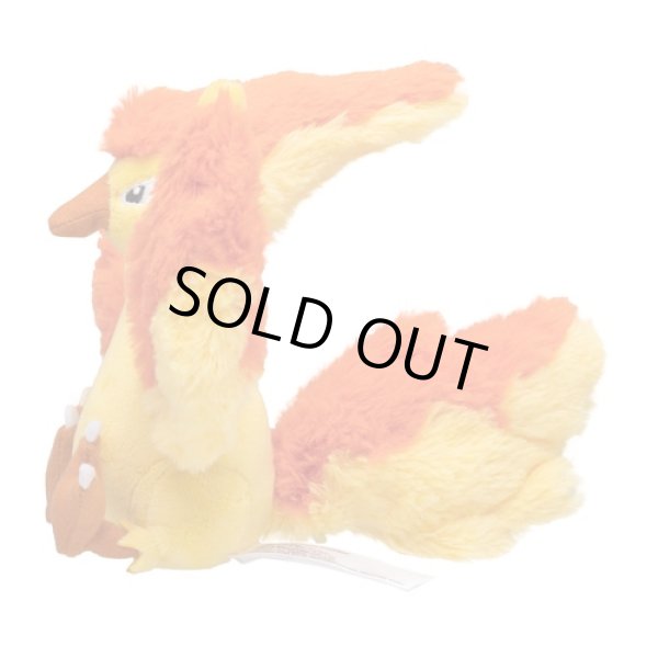Photo2: Pokemon Center 2018 Pokemon fit Mini Plush #146 Moltres doll Toy (2)