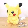 Photo4: Pokemon Center 2018 Pokemon fit Mini Plush #25 Pikachu doll Toy (4)